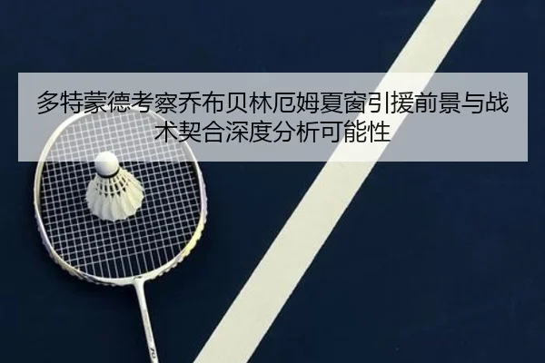 多特蒙德考察乔布贝林厄姆夏窗引援前景与战术契合深度分析可能性